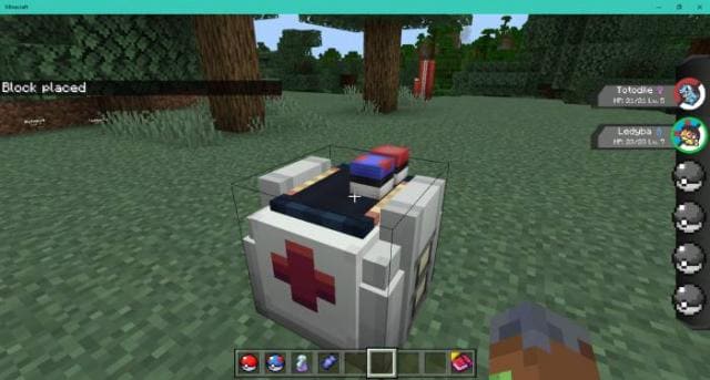 description_20 Pokébedrock