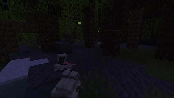 description_2 Vagalumes brilhantes.