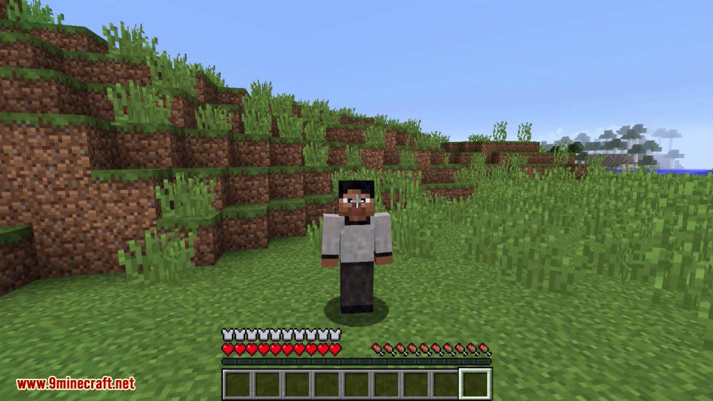 description_2 Cosmetic Armor Reworked Mod (1.20.4) - can be anything