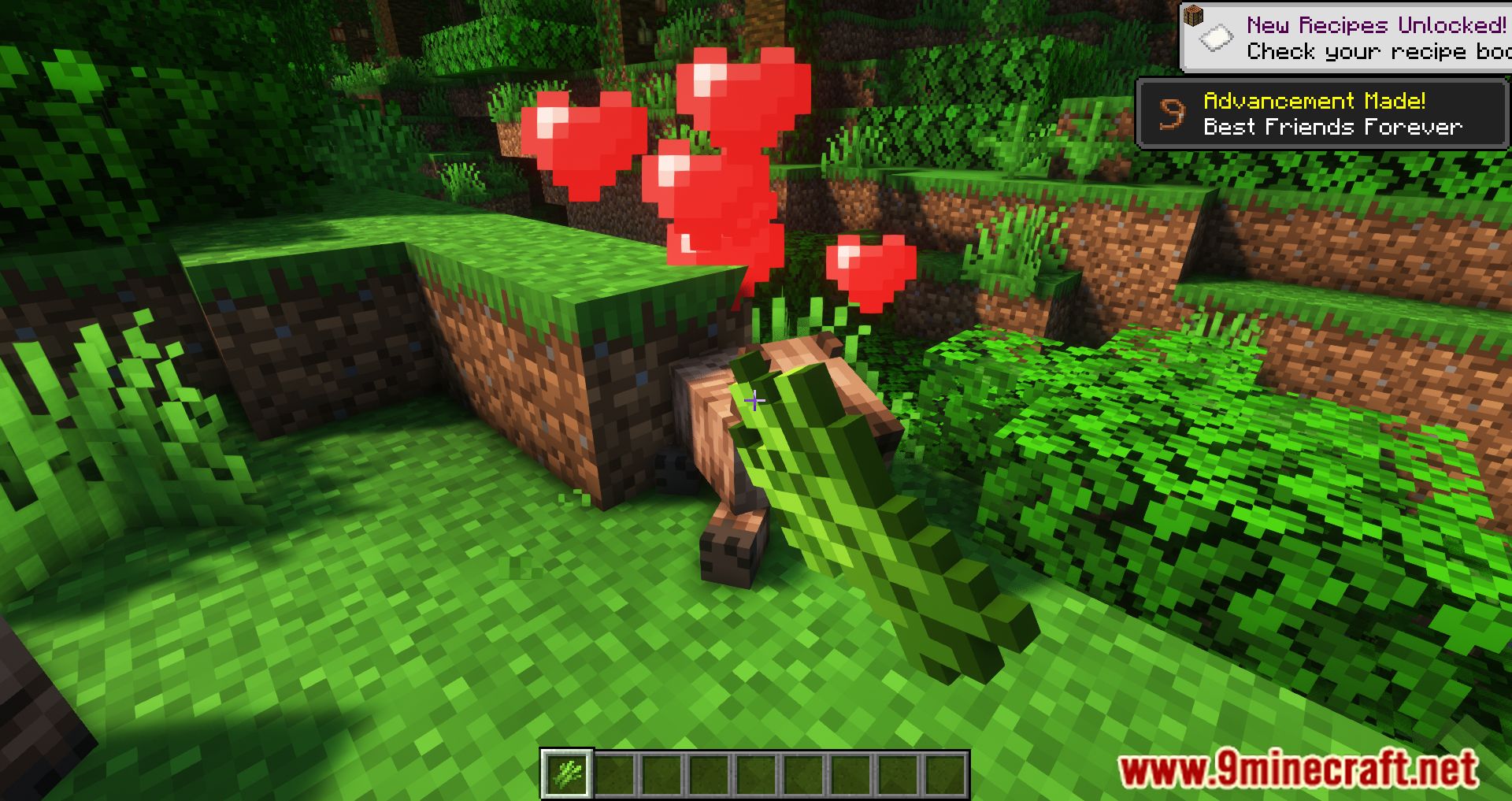description_8 TechSupportRed's Capybara Mod 1.20.2 - Новое существо из джунглей, капибара!