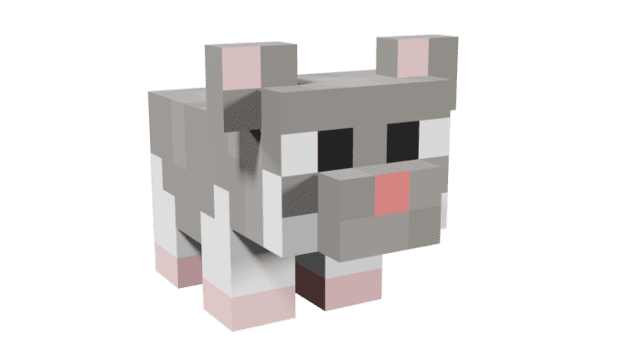 description_3 Больше питомцев.