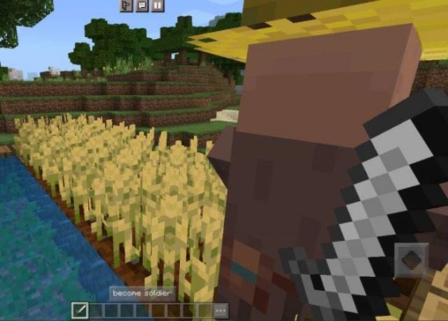 description_5 Villager-soldier.