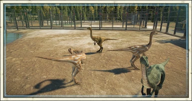  image 3 for