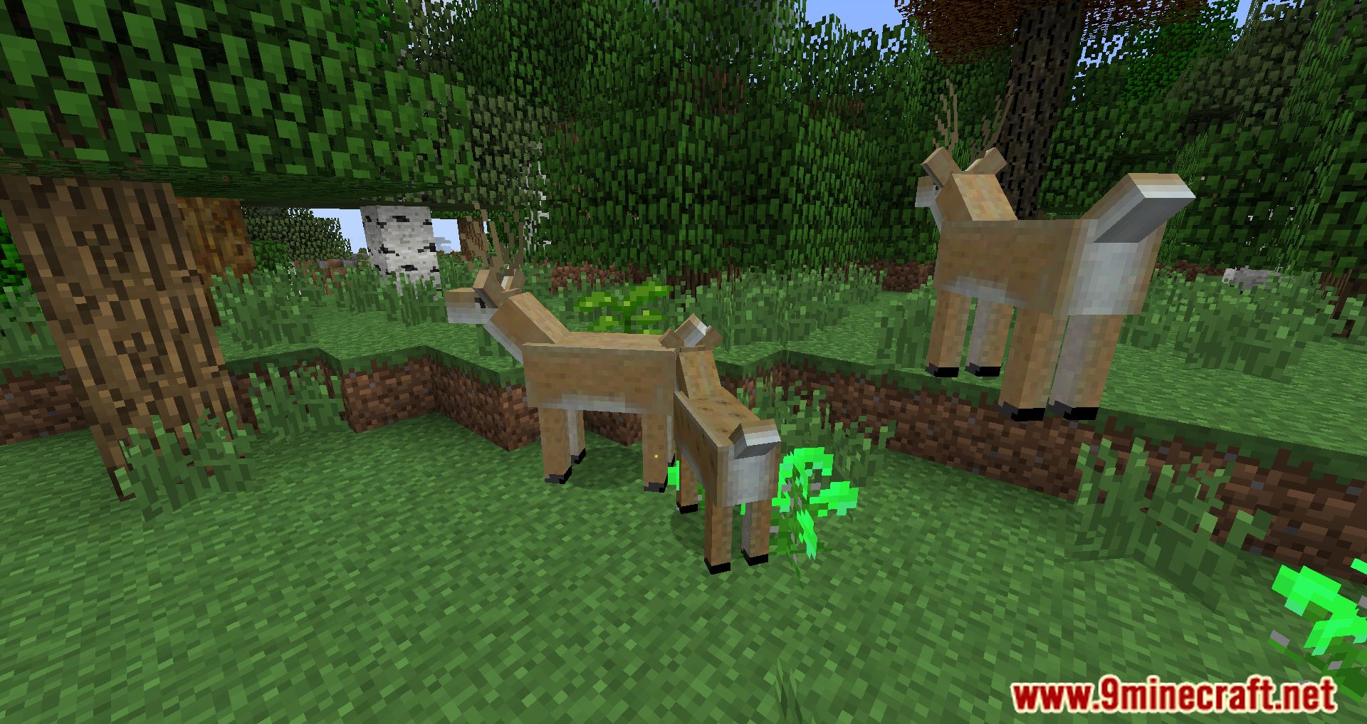 description_14 Magic Farm 3: Harvest Modpack (1.7.10) - усложняет общее выживание