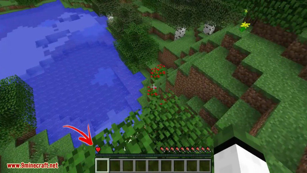description_1 Limited Lives Mod (1.20.4) - sets the number of lives in the world