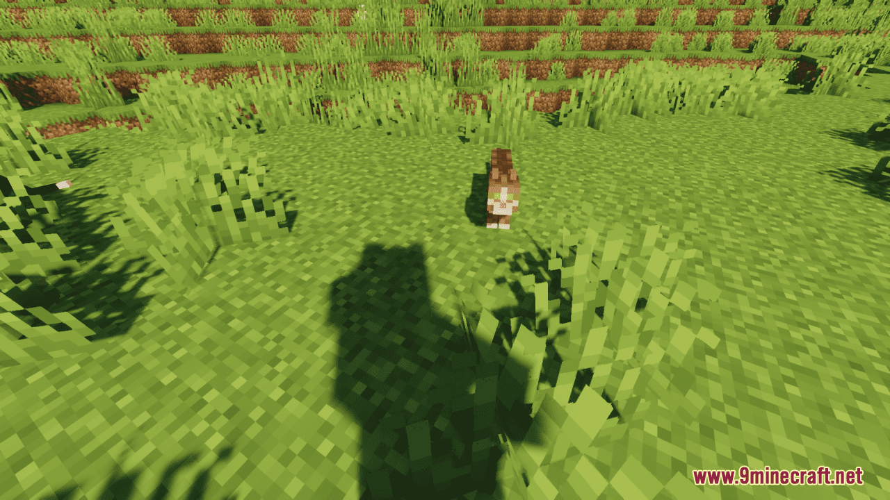 description_3 Текстуры Mcopper: advanced wisdom resource pack (1.19.4, 1.19.2) - Текстурный пакет