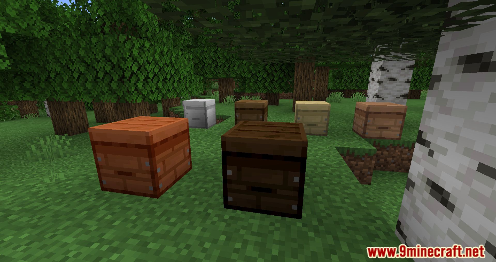 description_5 Bee Better Mod 1.18.2 - ряд новых функций, связанных с пчелами