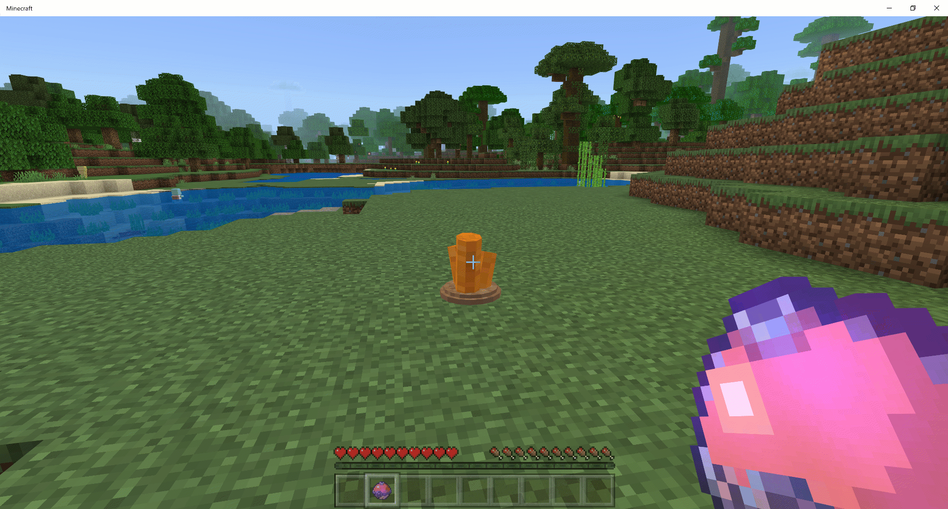 description_2 Pokecraft.