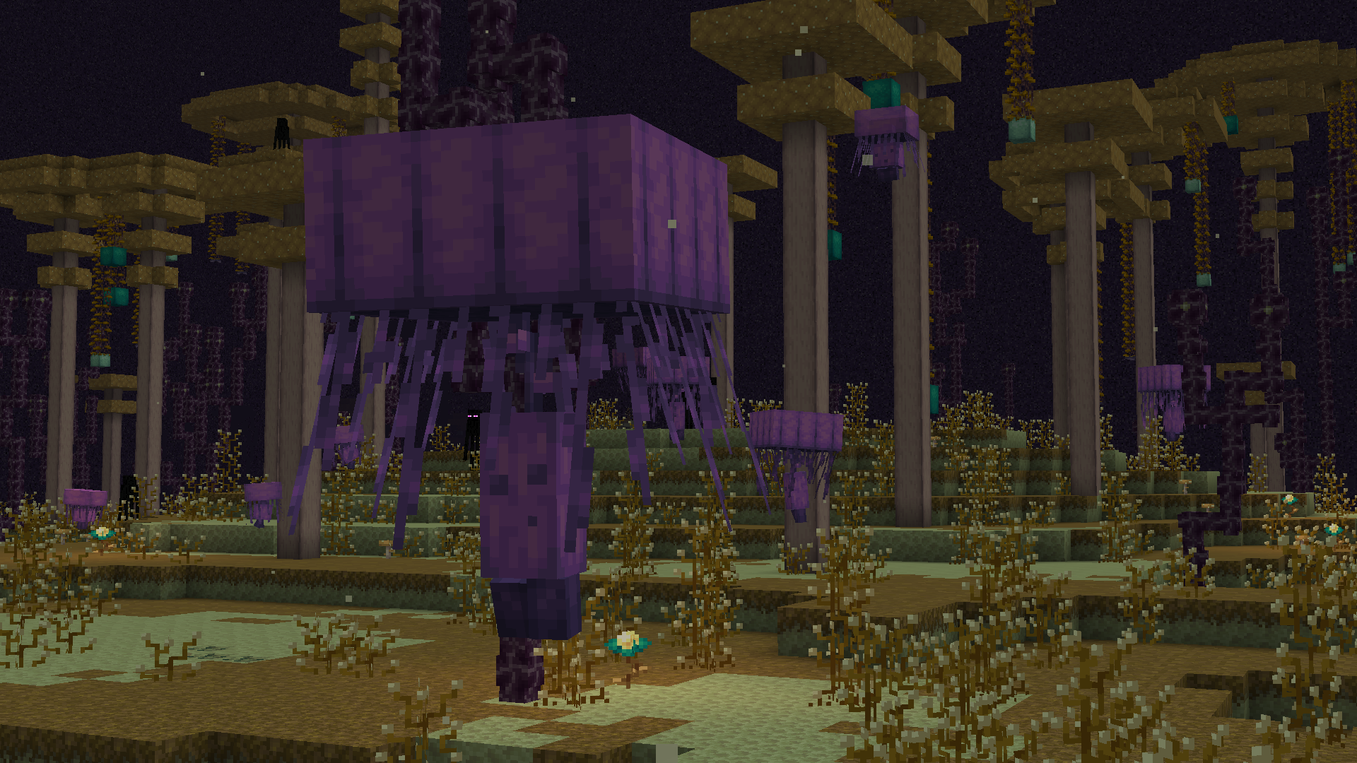 image 1 for 