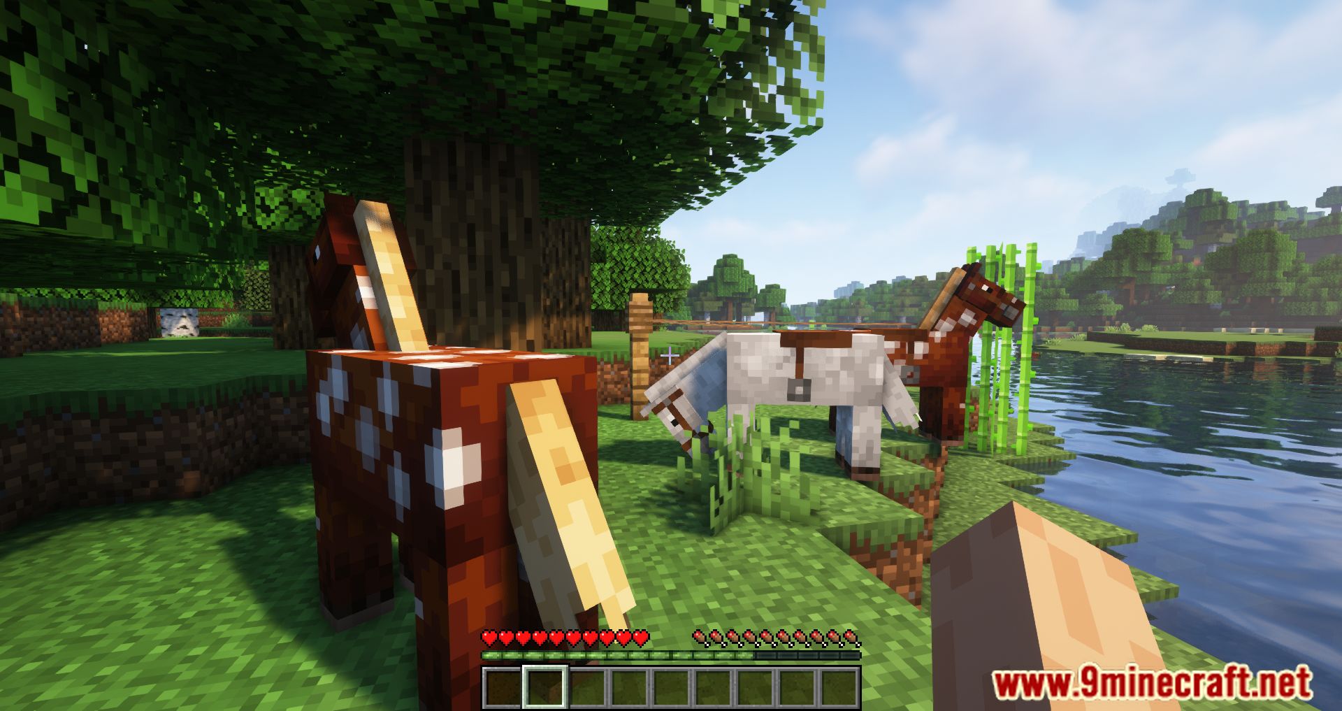 description_8 Horse Stonks Mod 1.20.4 - Unleash the power of the horse economy.