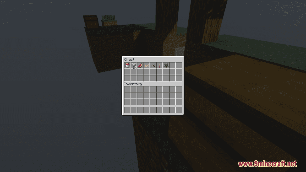 image 6 for Map SkyBlock for Two (1.20.4) - Island of Double Sky