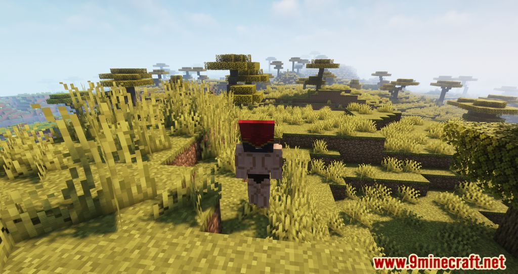 image 4 for  Wavey Capes Mod (1.20.5) - Сделайте свои плащи особенными!