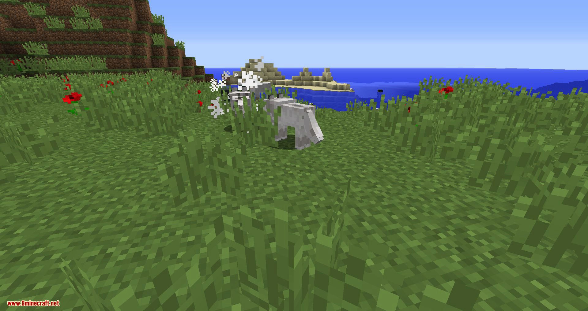 description_2 Better Animations Collection 2 Mod 1.20.4 - Changes to in-game models