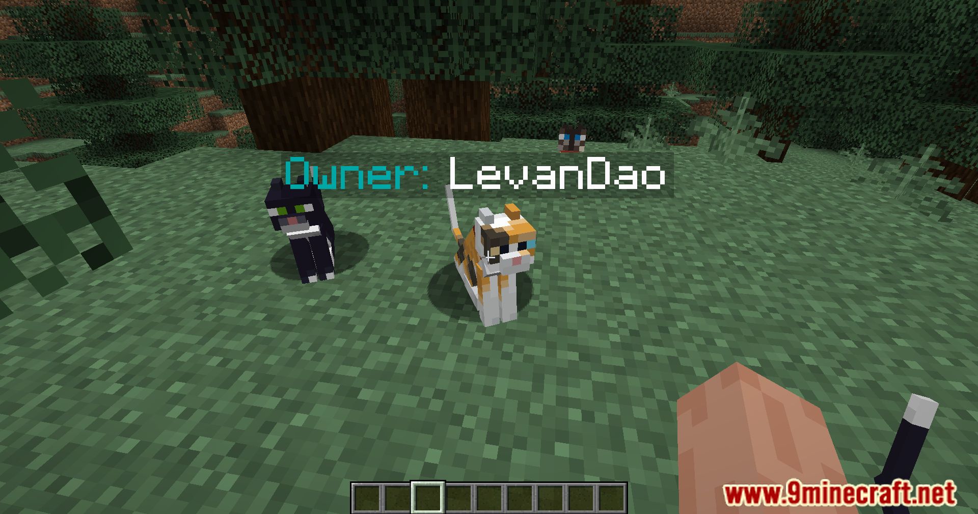 description_9 Pet Owner Mod 1.20.4 - определение владельцев животных с первого взгляда