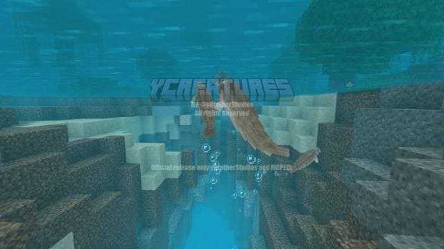 description_28 Больше животных.