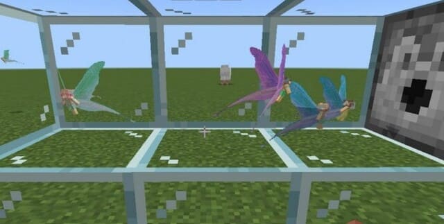 description_1 Fantasy forest.