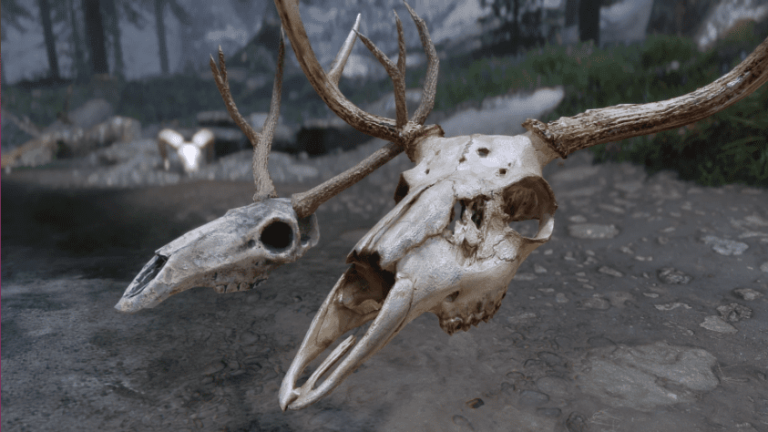 description_2 3D Deer Skull Replacement