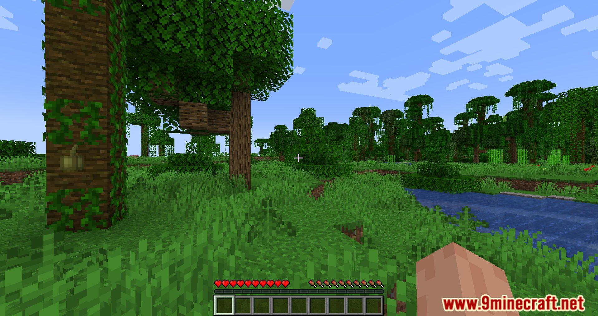 description_1 Noxesium Mod (1.20.2) - улучшите свои впечатления от Minecraft