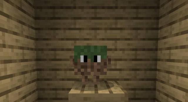 description_0 Block pets.