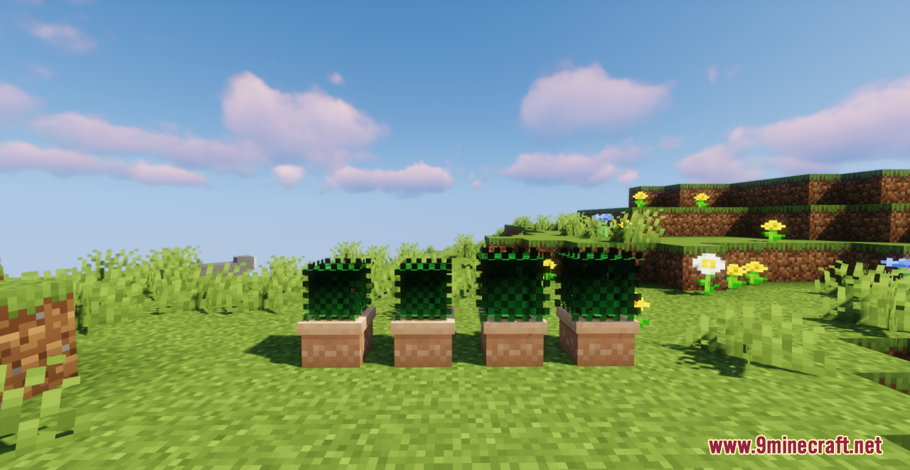 description_5 Kubban's Saplings Resource Pack (1.18.2, 1.19.3, 1.19.2) - texture pack