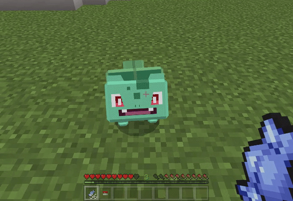 description_39 Pokecraft.