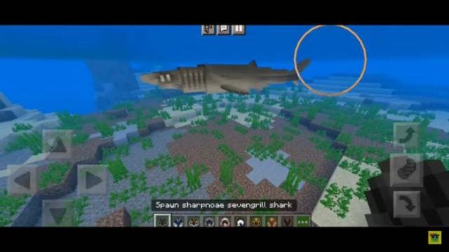 description_3 Underwater animals.