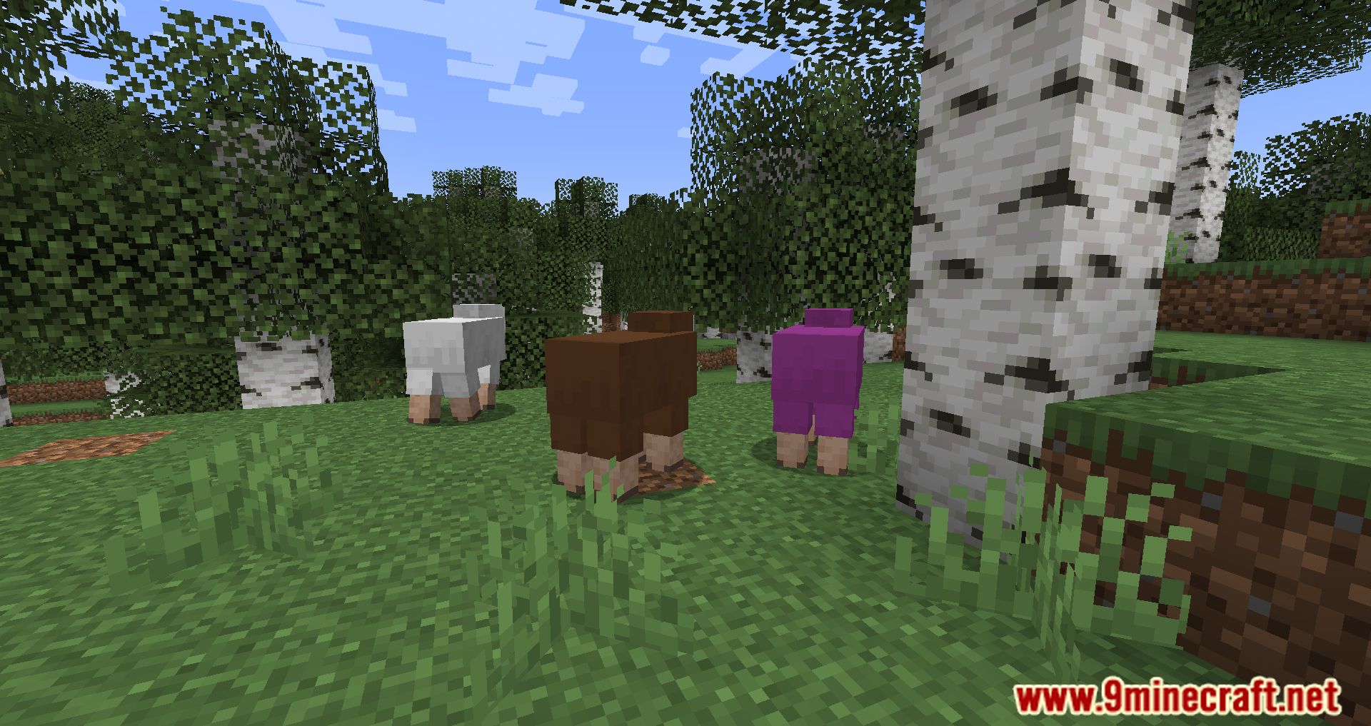 description_1 Random Sheep Colours Mod 1.20.4 - добавьте ярких красок в ваше стадо