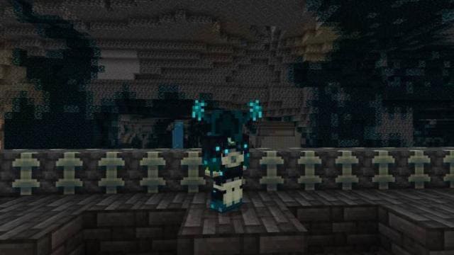 description_2 Guardian Armor.