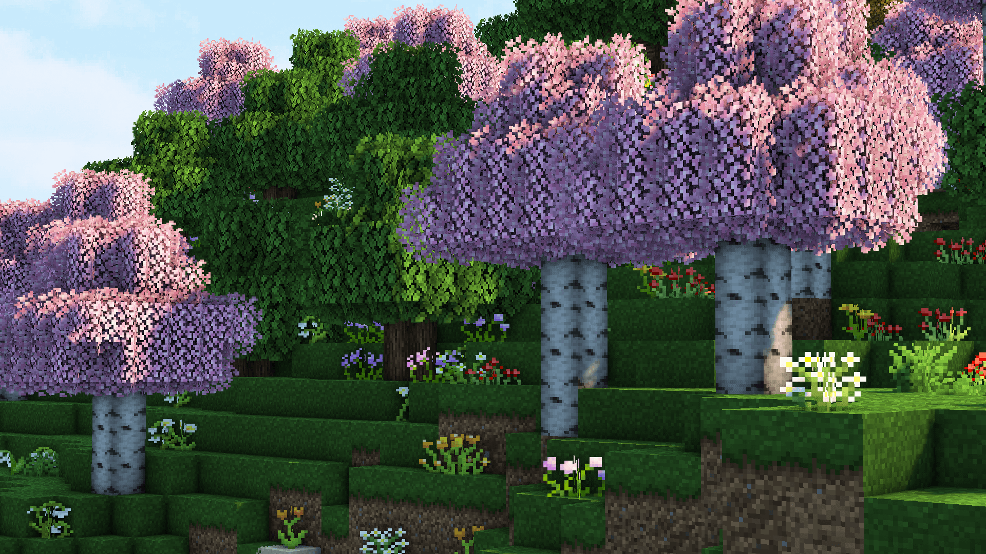 imagem 1 para