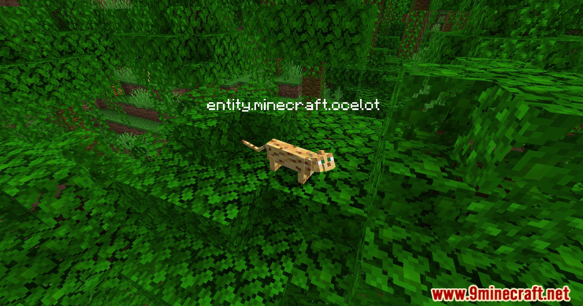 image 3 for Fancy Clear Mod (1.20.4) - Optimize servers, maintain performance