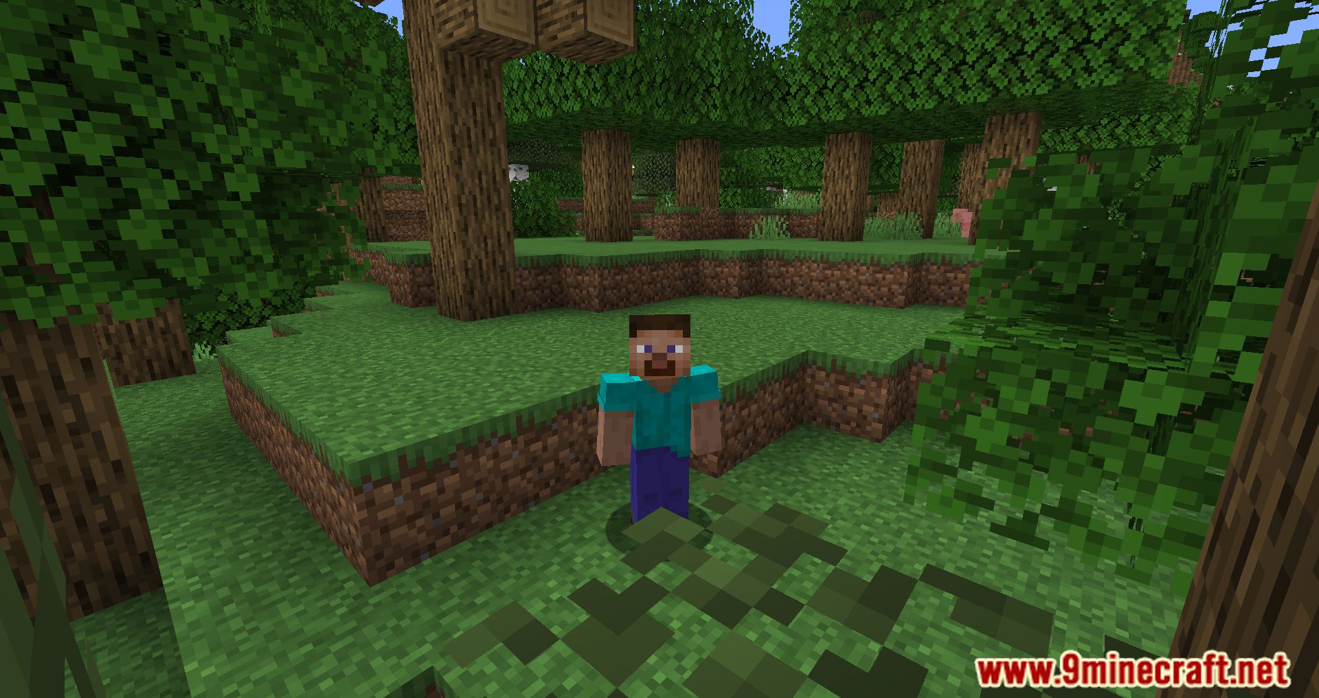 description_2 Hidden Names Mod 1.20.4 - Настройте имена других игроков, скрыв их.