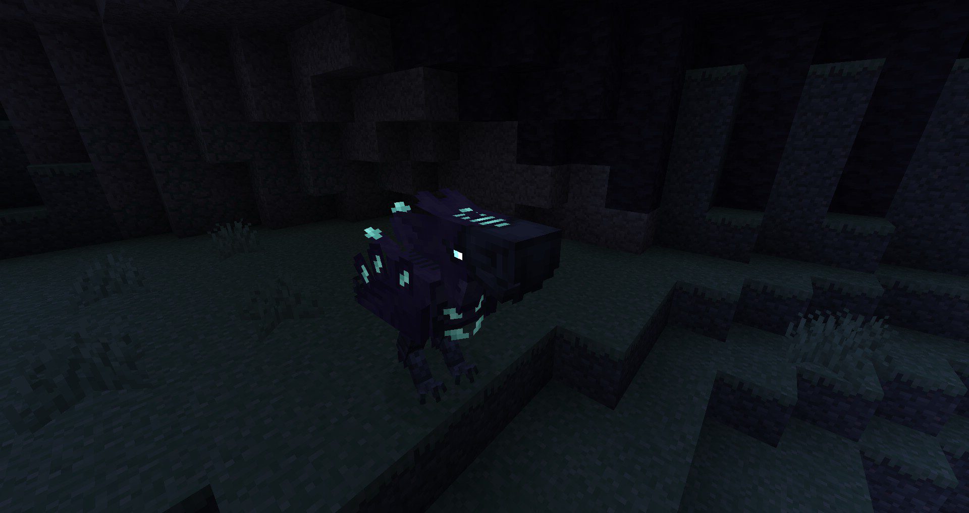 description_2 Aether Redux Mod - Muitos novos recursos interessantes