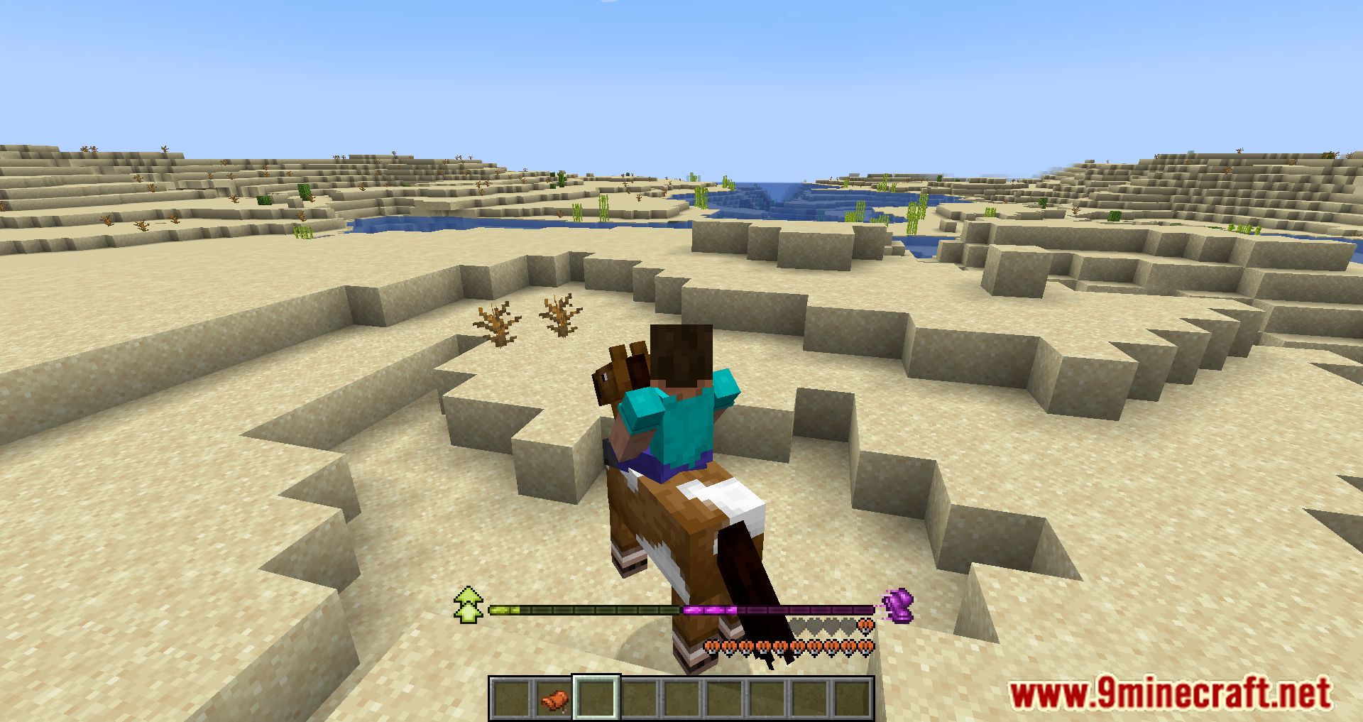 description_3 RideHUD Mod 1.20.4 - Mejora tus aventuras de equitación con RideHUD