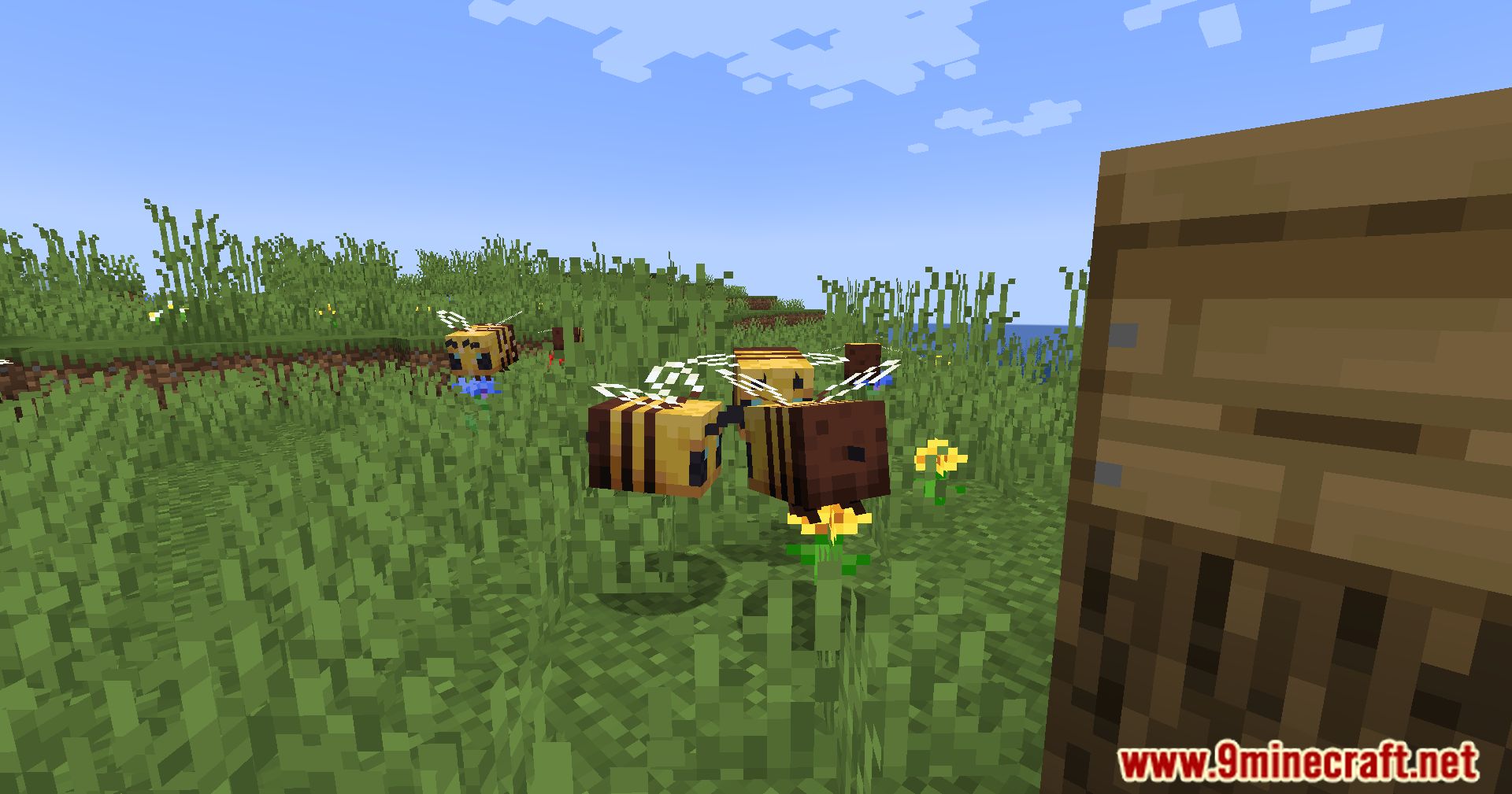 description_4 More Bee Info Mod (1.20.4) - improve your beekeeping experience