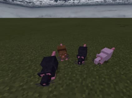 image 14 for 