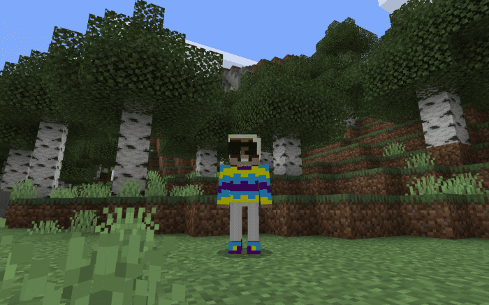 image 11 for Conjunto de vestuario para el espectáculo regular (1.19) - MCPE/Bedrock