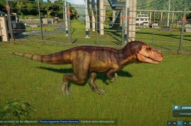  image 6 for