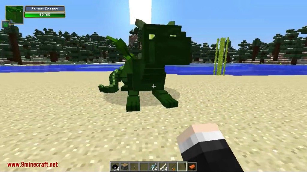 description_18 Dragon Mounts Mod (1.12.2) - ride dragons and tame them