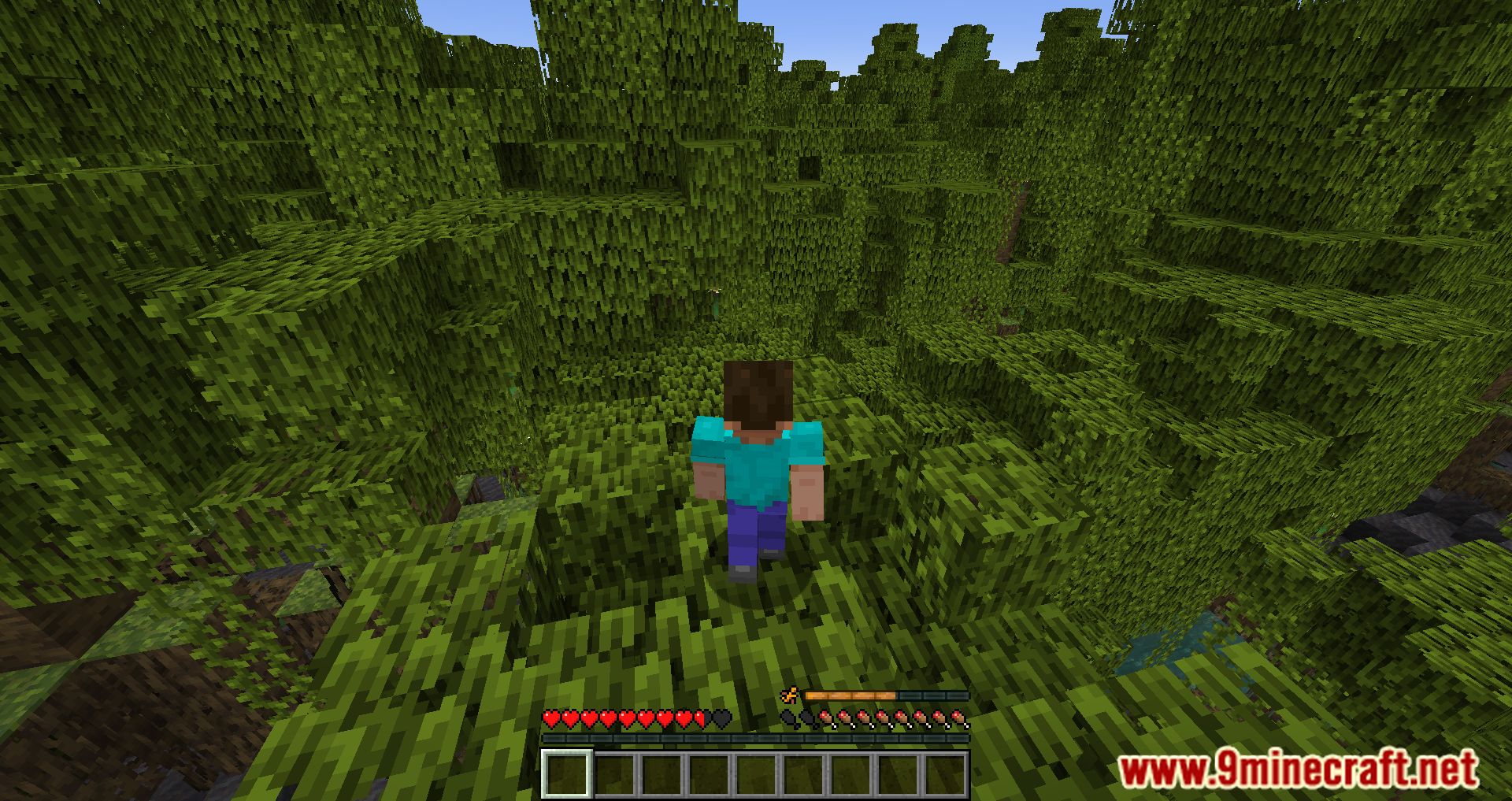 Imagen 17 para Animal Origins Mod (1.20.6) - ¡Conviértete en un animal!