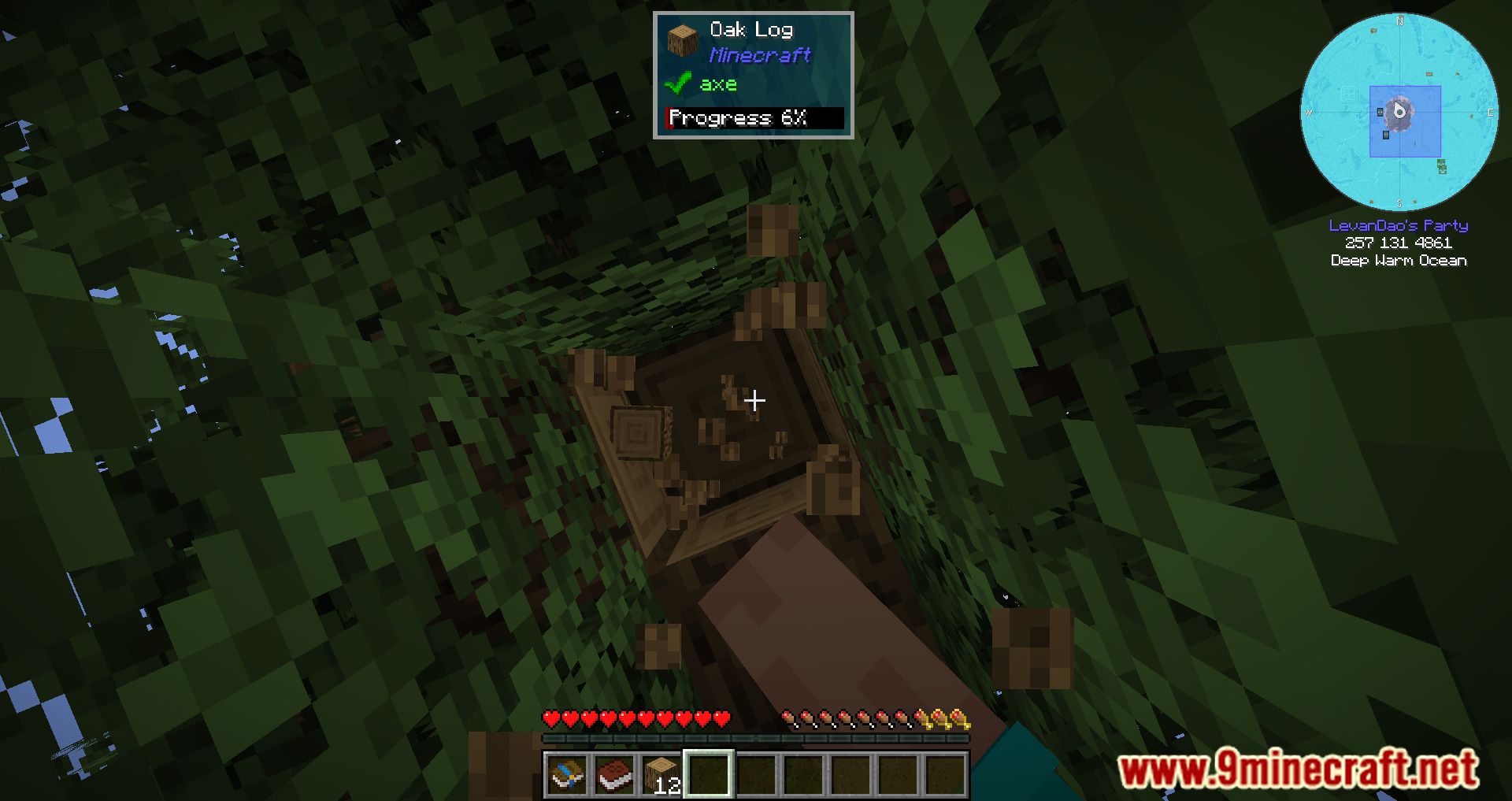description_8 FTB OceanBlock Modpack (1.16.5) - модпак, основанный на острове