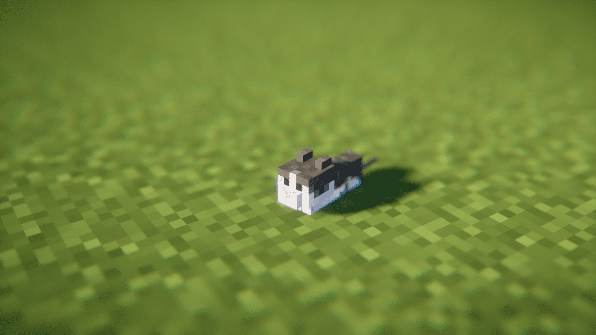 image 2 for Cat Loaf Mod (1.20.4) - домашняя кошка завернута в буханку