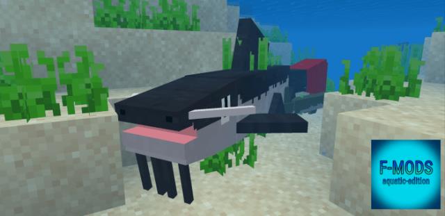 description_7 Exotic fish.