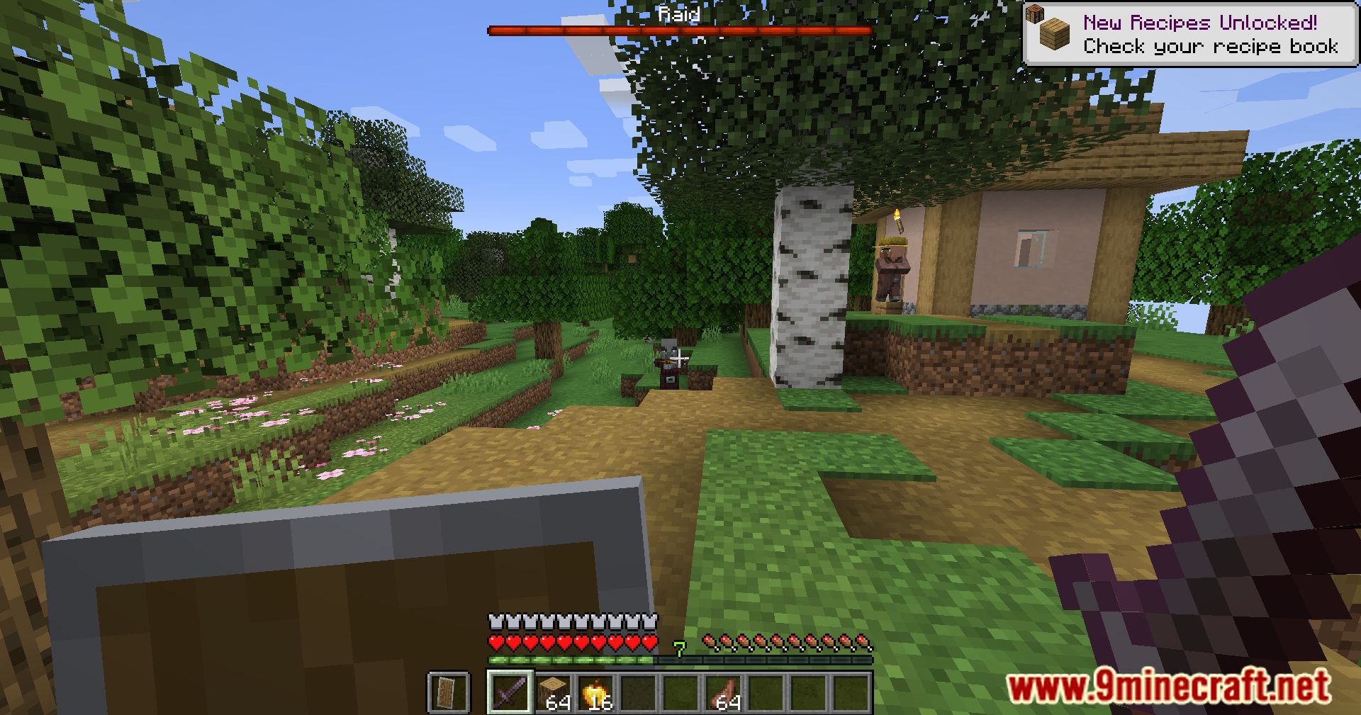 description_4 Armorful Mod 1.20.4 - improve your illager!