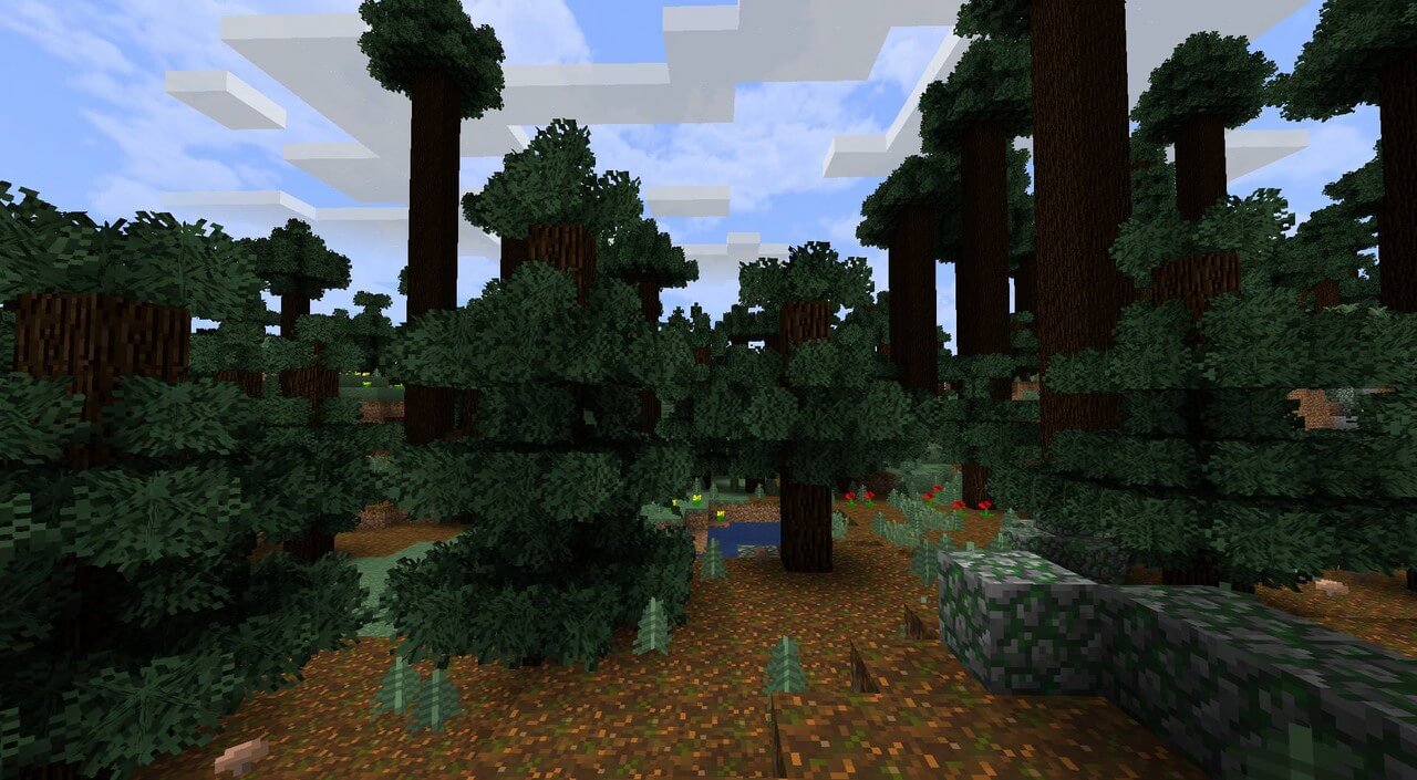 image 1 for