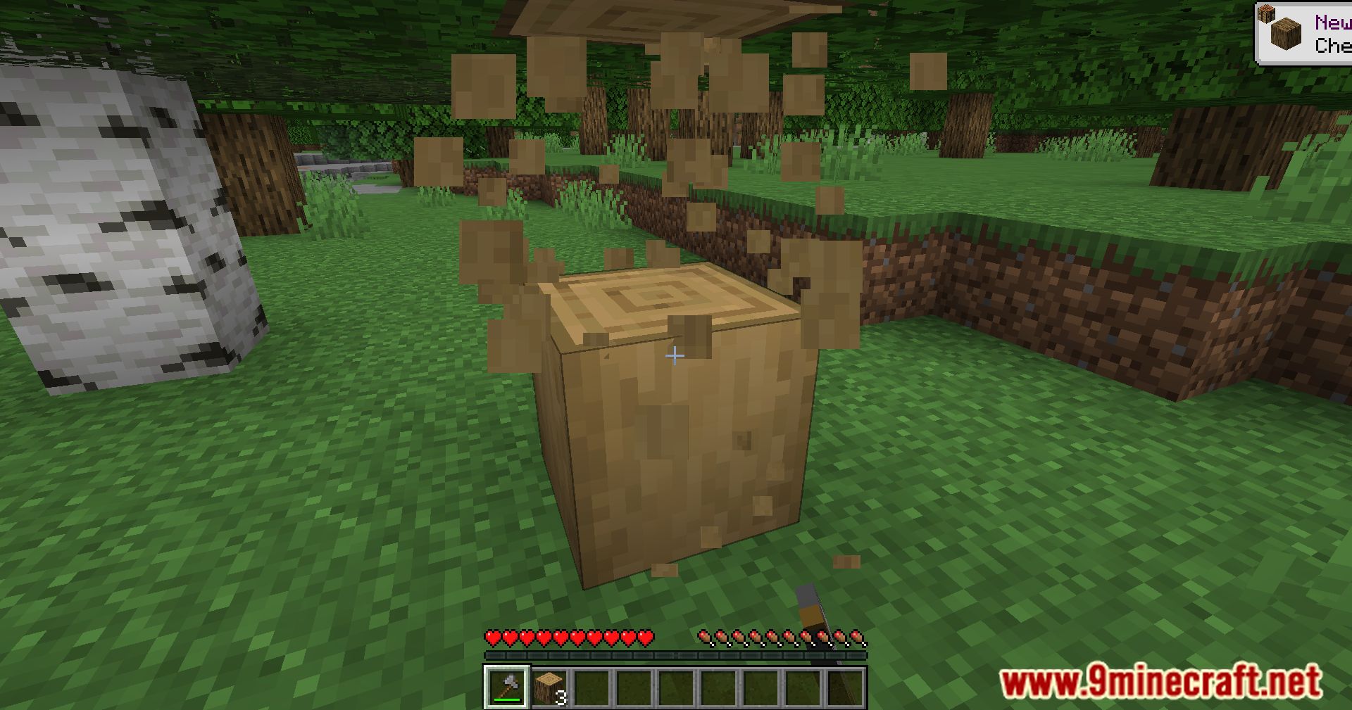 image 8 for No Strip Mod (1.20.4) - Provides a natural look