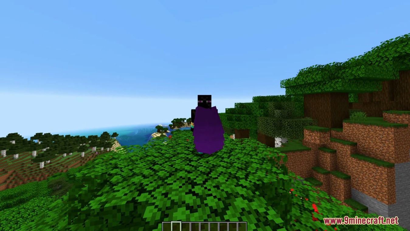 description_0 Мод Customizable Elytra (1.20.4) - позволяет окрашивать Elytra как кожаную броню