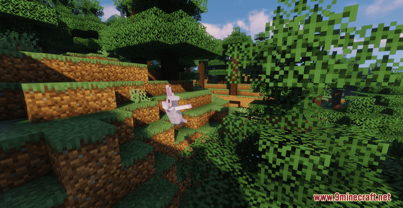 description_5 Aesthetic Birds Resource Pack (1.19.4, 1.19.2, 1.19) - texture pack