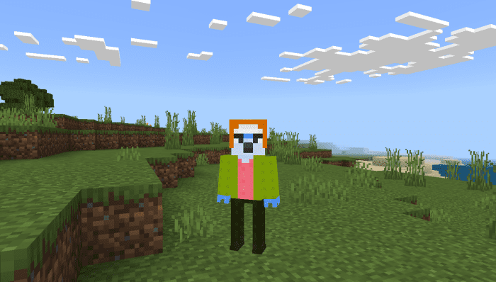 image 1 for Набор костюмов для обычного шоу (1.19) — MCPE/Bedrock