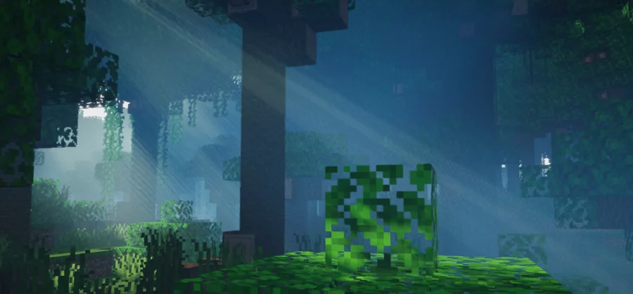 imagem 1 para