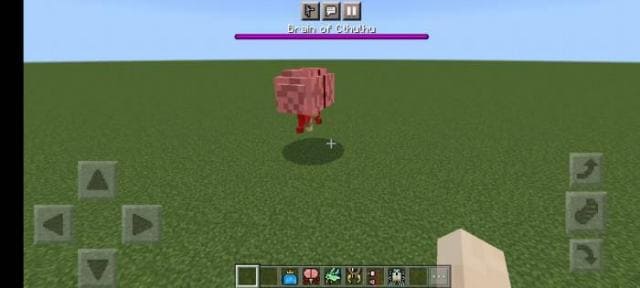 description_10 Террария MCPE.